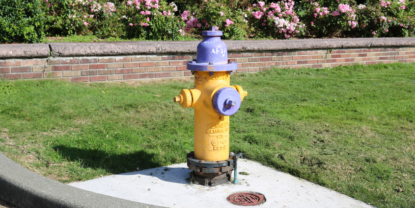 purple and gold fire hydrant