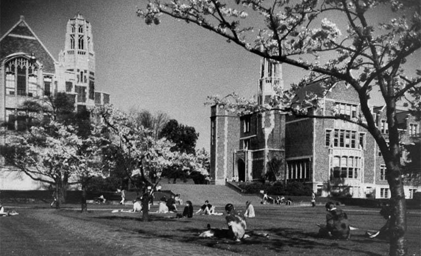 black and white photo of Quad cherry trees 