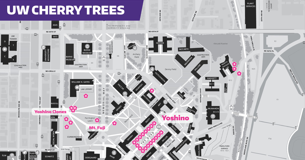 Map: cherry tree locations on campus