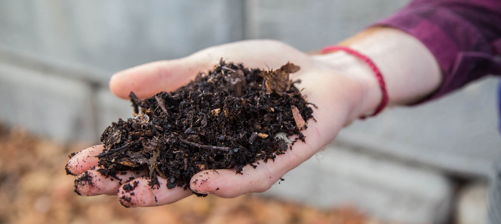 Leaves, Coffee Grounds and Compost, Oh My!