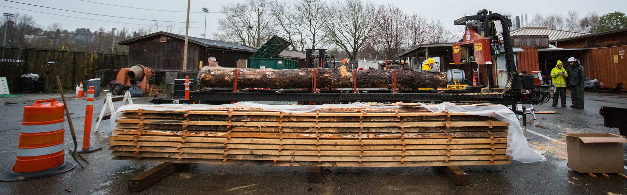 Ponderosa Pine slabs in lumbermill