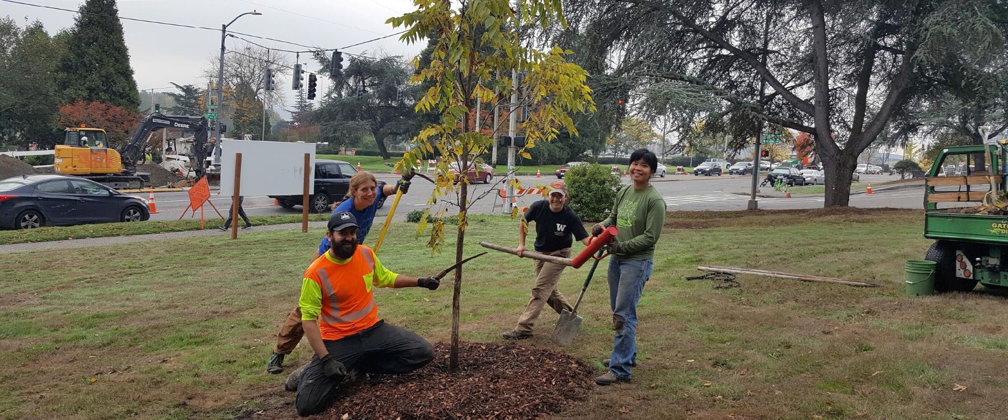 Facilities employees plant a black walnut tree