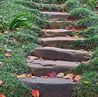 Natural stone step pathway