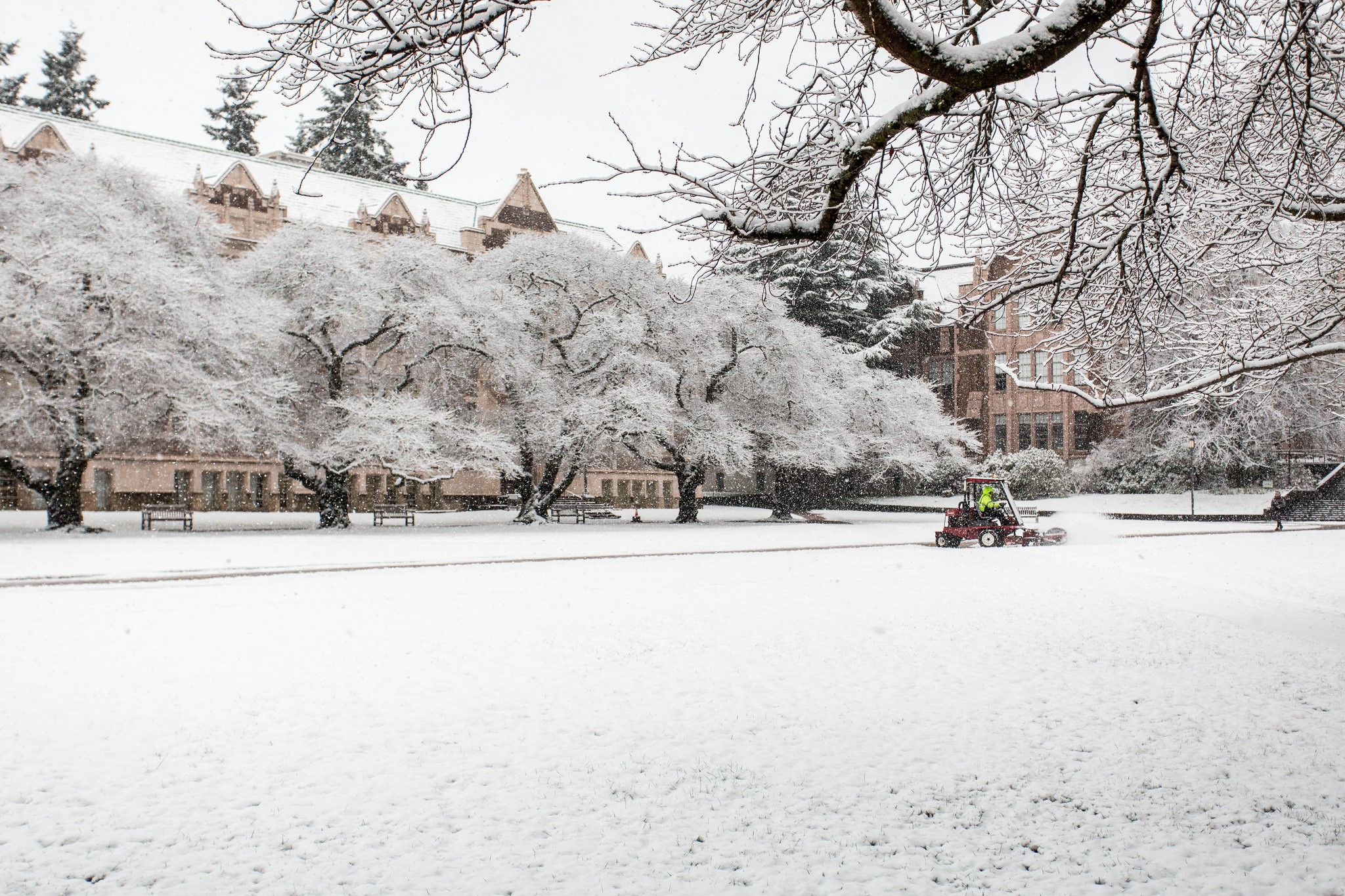 A plow clears snow from the Quad on University of Washington's campus.