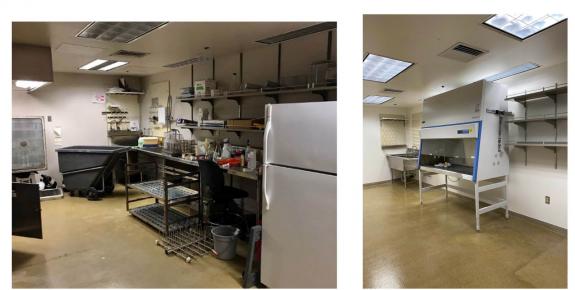 Before and after lab space