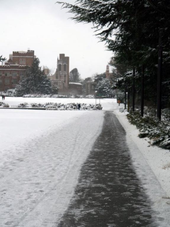 Campus path cleared of snow