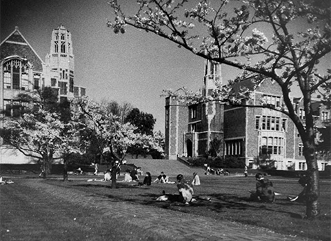people on UW Quad with young cherry trees
