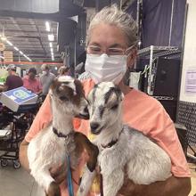 woman holding baby goats in a warehouse
