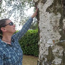 Sara Shores pointing to a birch tree showing evidence of birch borer infestation