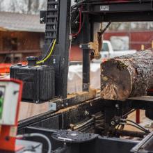 Ponderosa Pine slabs in lumbermill