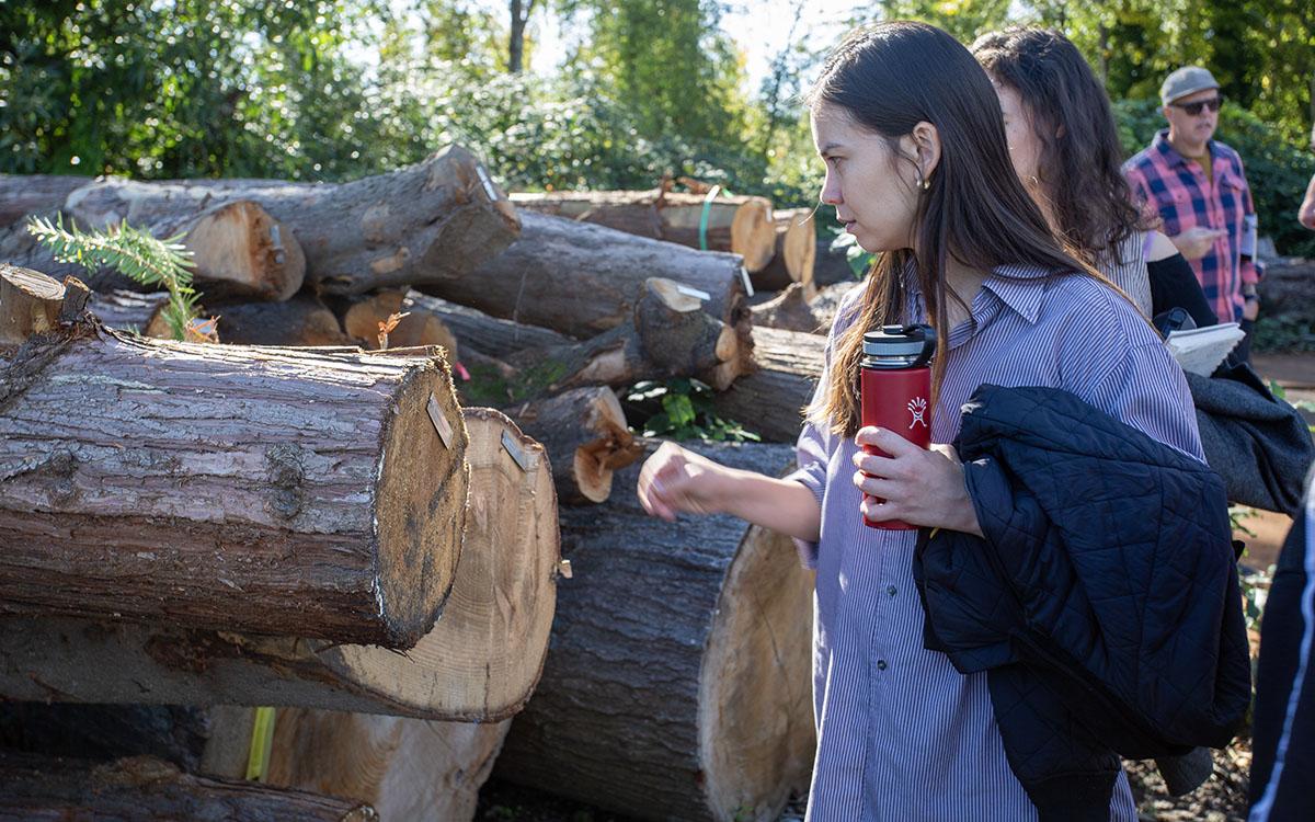 student looks at logs with tags