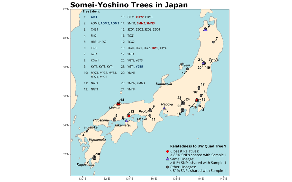 map of Japan with red dots and Matsue, Okayama and Tokyo