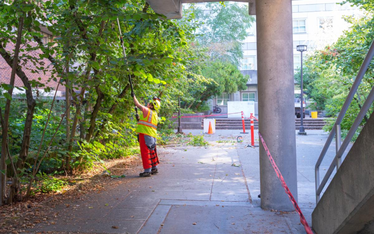 woman uses long pole to trim trees in breezeway