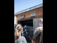 structure with doors open shows tree that has been cut into planks