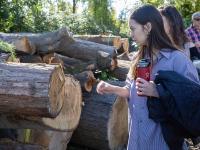 student looks at logs with tags