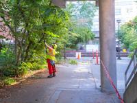 woman uses long pole to trim trees in breezeway