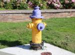 purple and gold fire hydrant
