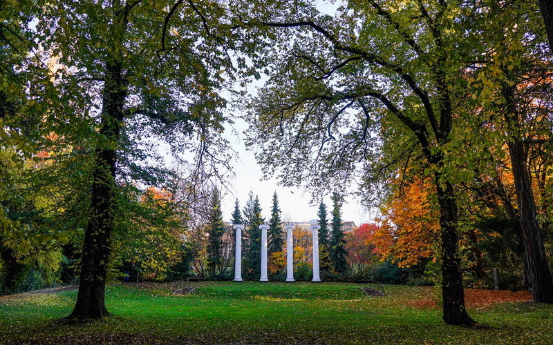 Sylvan Grove