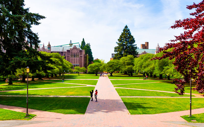 Image of Quad on Seattle UW Campus