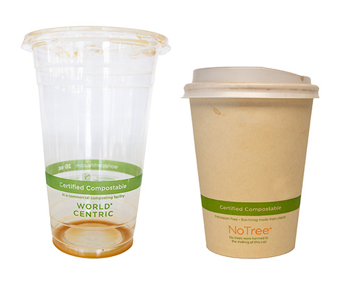 an empty cup for cold drinks with a green stripe around it that says compostable
