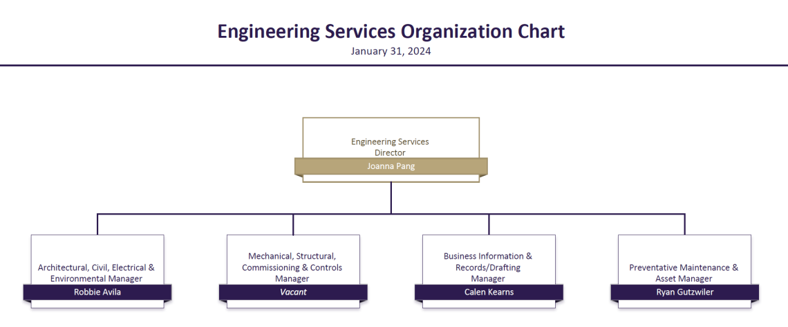 engineering services organization chart