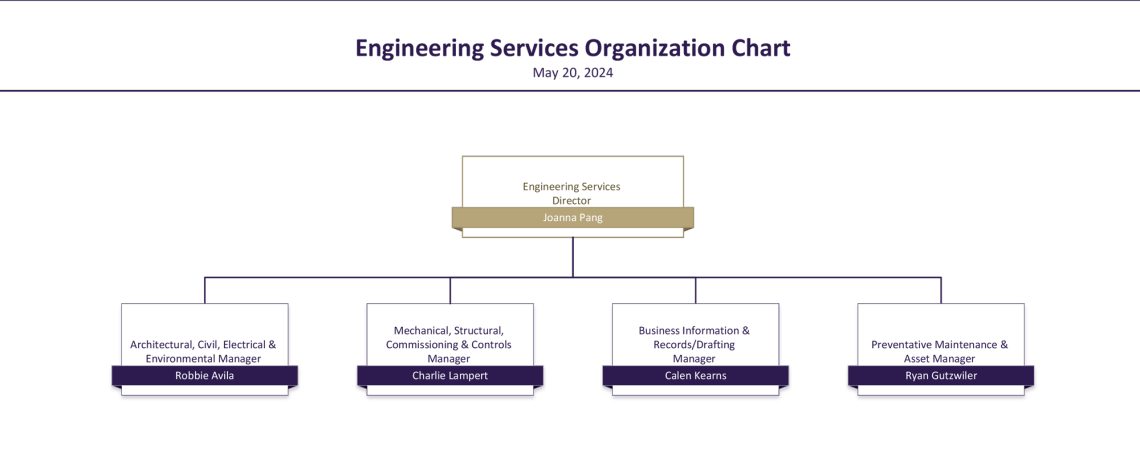 engineering services organization chart