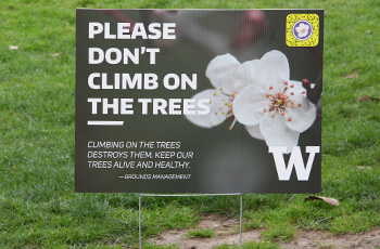 lawn sign on the quad