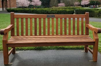 wooden memorial bench outside with green grass and hedge in background