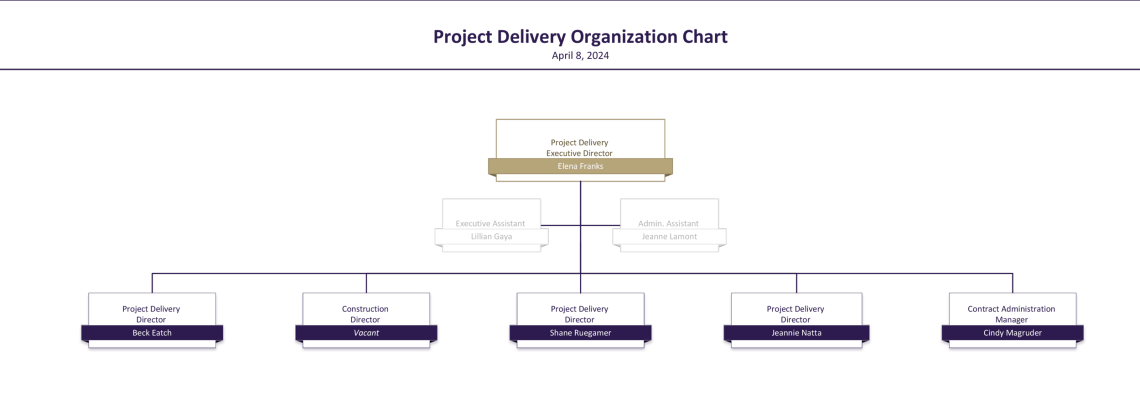 project delivery organization chart