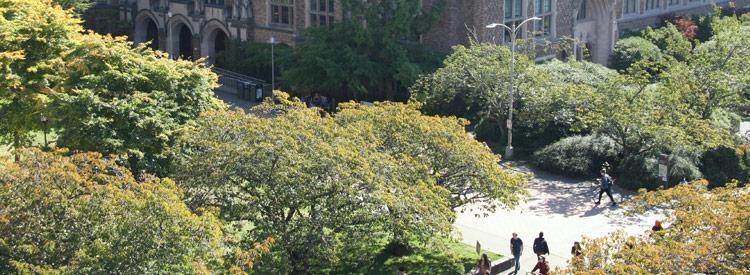 aerial view of trees near mary gates hall