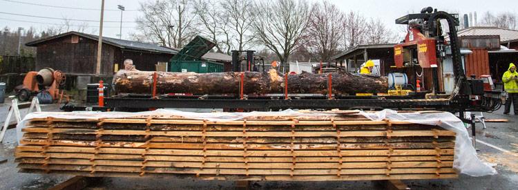 portable saw mill with raw slabs at base