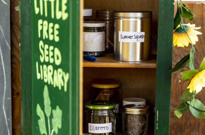 green cabinet with jars inside; text on the front of cabinet reads little free seed library