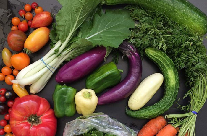 assortment of farm-grown vegetables
