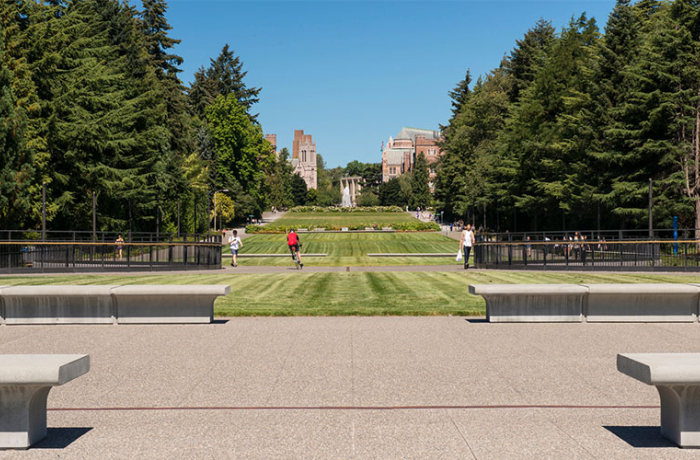 Image of lower Rainier Vista
