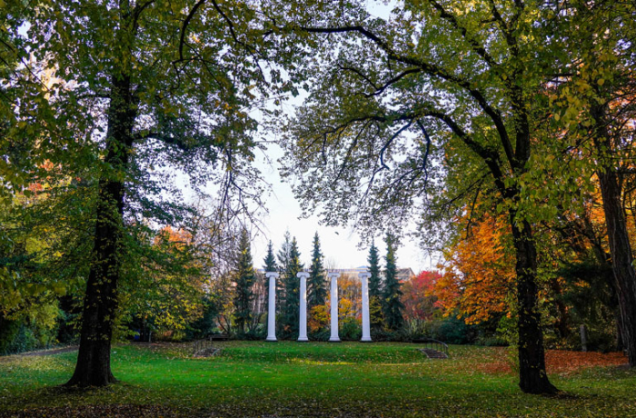 Image of Sylvan Grove