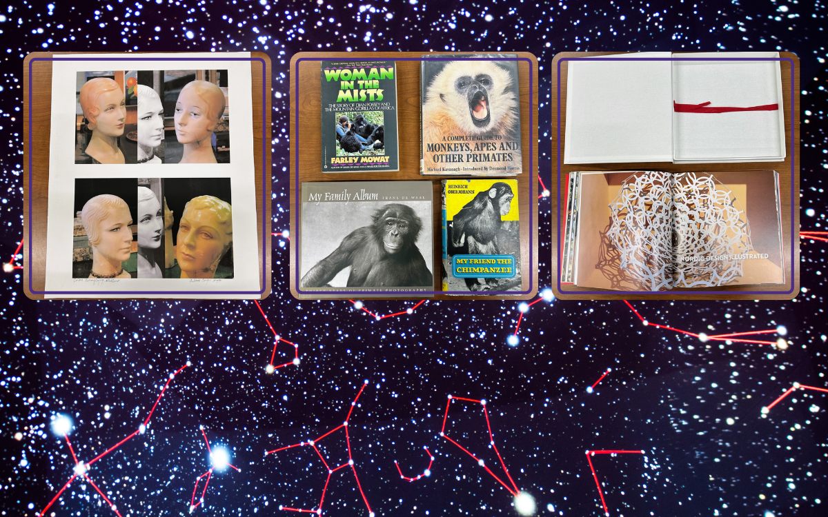 Print of mannequin heads - $2.00  Assorted books about monkeys - $0.50 - $1.00 each  Nordic Cool 2013 book - $3.00