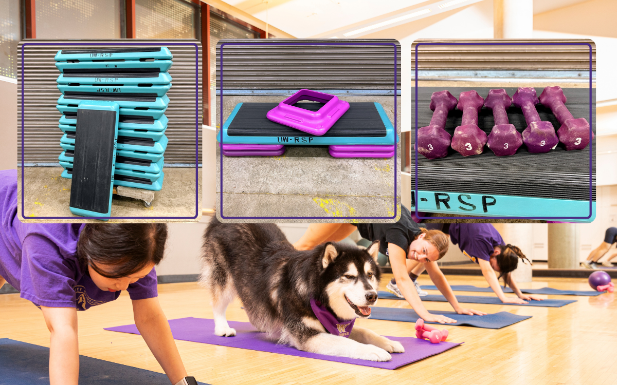 aerobic step up, risers and dumbbells