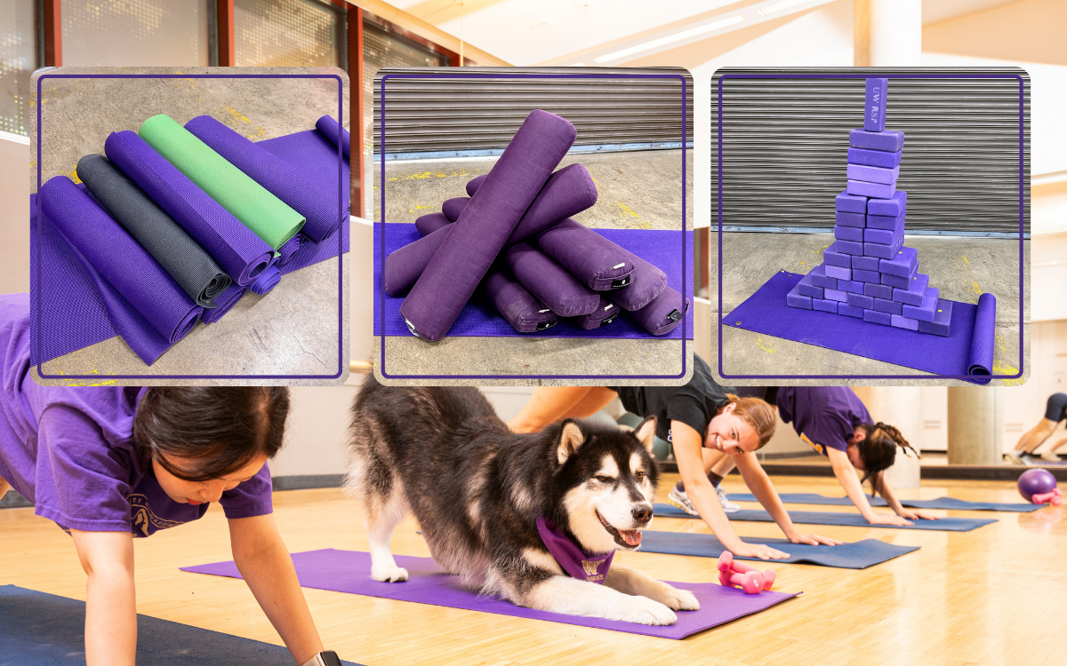 Yoga mats, braces and blocks