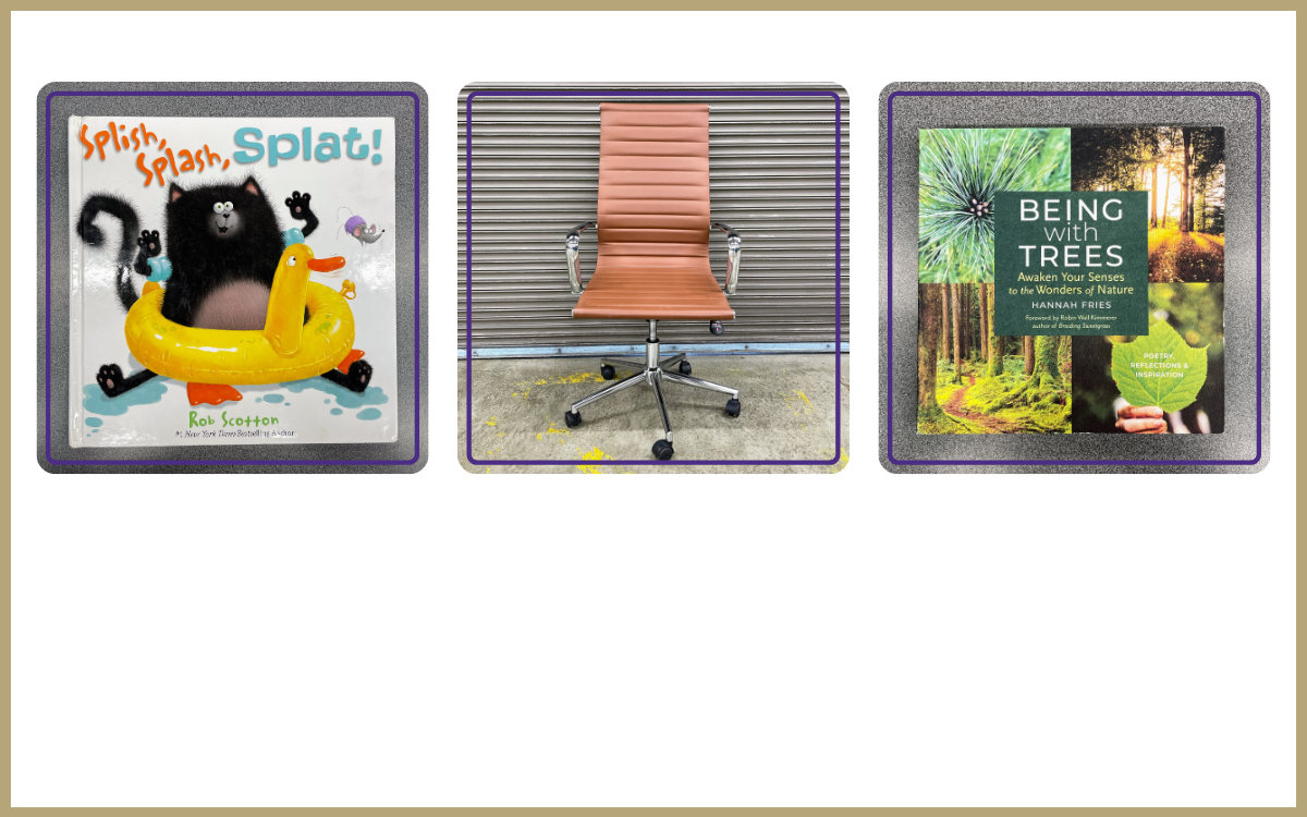 kids book, tan rolling chair, nature book