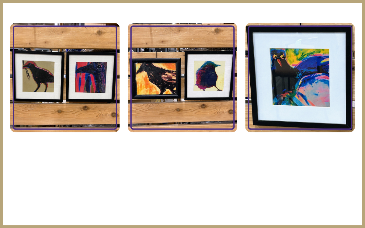 5 different framed colorized prints, all of birds