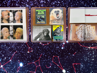 Print of mannequin heads - $2.00  Assorted books about monkeys - $0.50 - $1.00 each  Nordic Cool 2013 book - $3.00