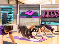 aerobic step up, risers and dumbbells