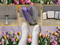 two cat paws point to bundles of flowers surrounding three images of an IV pole on wheels, stack of 28 chairs and pedestal filing cabinets