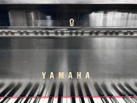 Keys of a Yamaha baby grand piano.