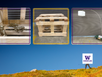blue sky behind a person hiking with three images of spray painted animal figurines, a wooden crate and a giant lamp